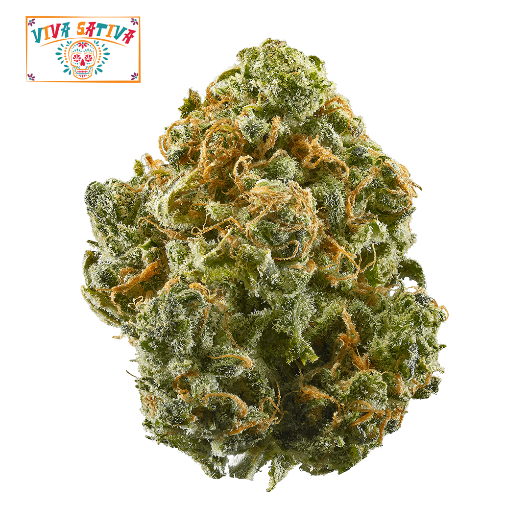 Viva Sativa – Sour D